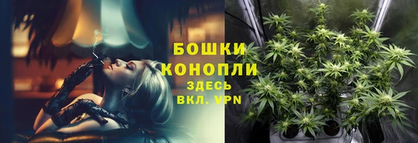 ГАЛЛЮЦИНОГЕННЫЕ ГРИБЫ Абинск